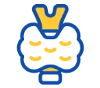 thyroid